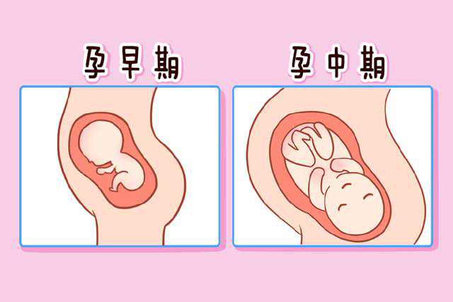 北京做供精试管最好的医院，北京家圆医院供卵费用